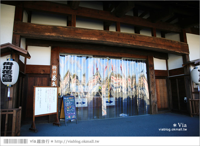 靜岡景點推薦》掛川花鳥園～愛鳥人&親子旅行大推薦！超有趣的花鳥園～玩到不想走！