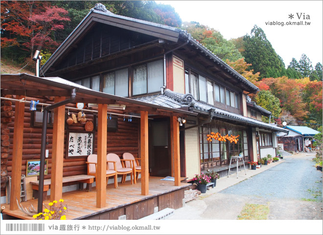 靜岡民宿推薦》あそびや民宿～來去山上住一晚！靜謐溫馨的山中生活好放鬆！