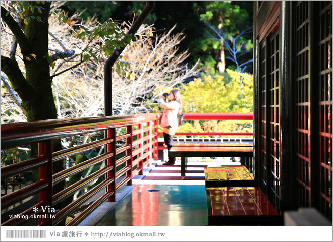 靜岡觀光景點》法多山尊永寺～國家文化財之一的靜謐寺院！來去吃消災丸子求好運～