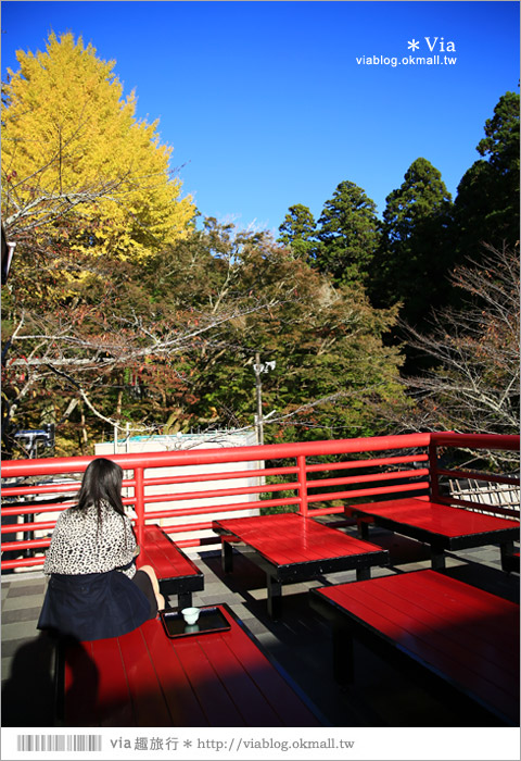 靜岡觀光景點》法多山尊永寺～國家文化財之一的靜謐寺院！來去吃消災丸子求好運～