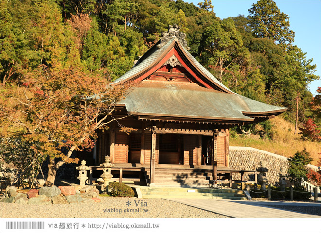 靜岡觀光景點》法多山尊永寺～國家文化財之一的靜謐寺院！來去吃消災丸子求好運～