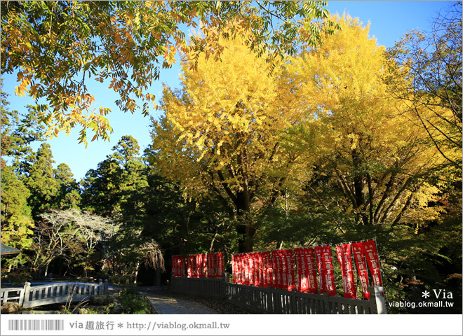 靜岡觀光景點》法多山尊永寺～國家文化財之一的靜謐寺院！來去吃消災丸子求好運～