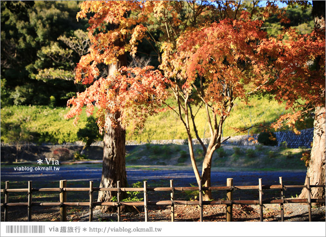 靜岡觀光景點》法多山尊永寺～國家文化財之一的靜謐寺院！來去吃消災丸子求好運～