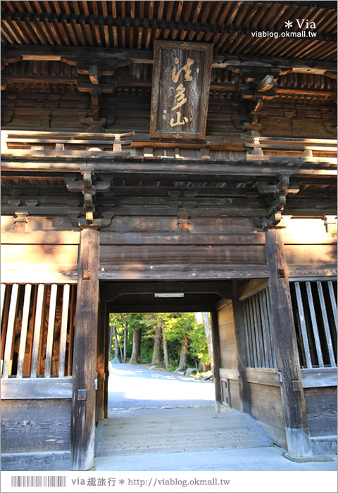 靜岡觀光景點》法多山尊永寺～國家文化財之一的靜謐寺院！來去吃消災丸子求好運～