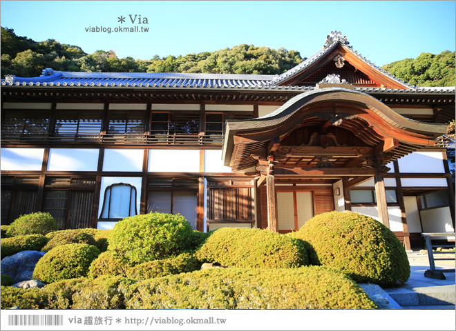 靜岡觀光景點》法多山尊永寺～國家文化財之一的靜謐寺院！來去吃消災丸子求好運～