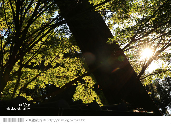 靜岡觀光景點》法多山尊永寺～國家文化財之一的靜謐寺院！來去吃消災丸子求好運～