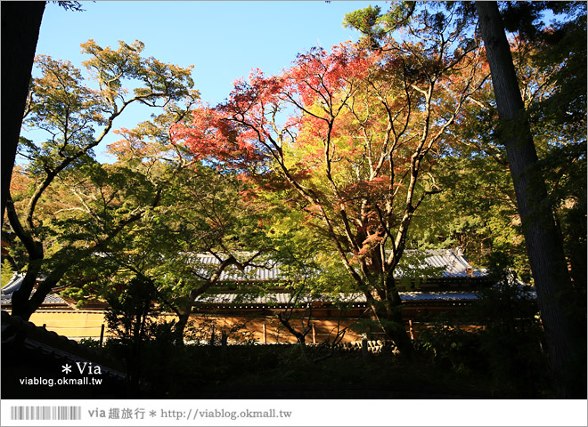 靜岡觀光景點》法多山尊永寺～國家文化財之一的靜謐寺院！來去吃消災丸子求好運～