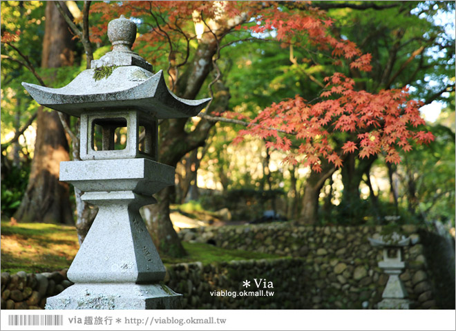 靜岡觀光景點》法多山尊永寺～國家文化財之一的靜謐寺院！來去吃消災丸子求好運～