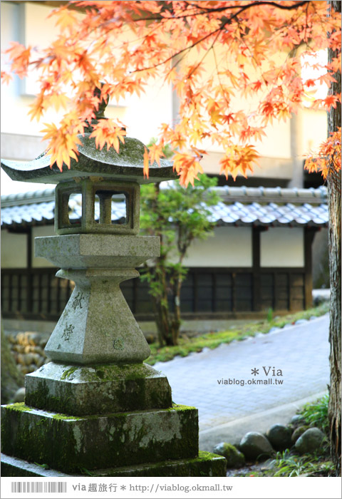 靜岡觀光景點》法多山尊永寺～國家文化財之一的靜謐寺院！來去吃消災丸子求好運～