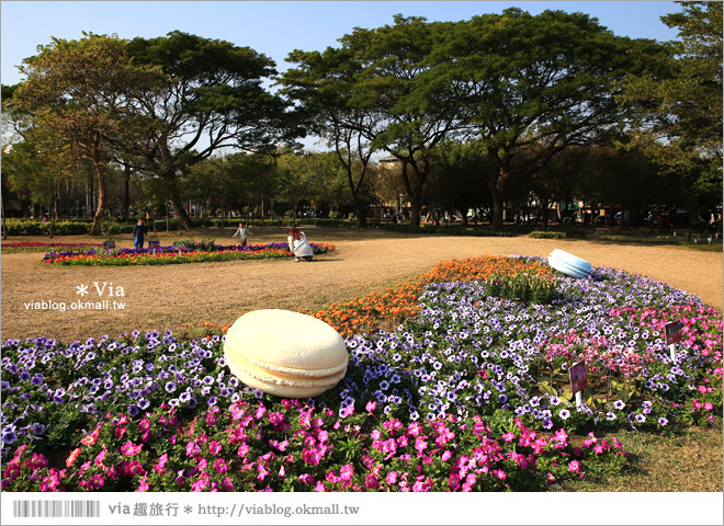 台南百花祭》2015台南百花祭地點：水萍塭公園／化身成一座可口的甜點花園！