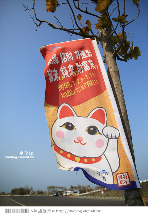 七股鹽山》台南鹽山一日遊～鹽山招財貓！期間限定～在台南等大家來玩囉！