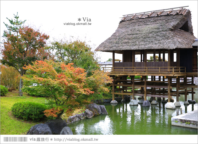 靜岡景點》茶之鄉博物館～來去茶裏王廣告取景的茶園美地尋茶趣！