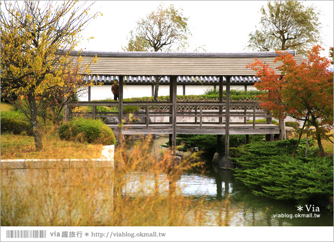 靜岡景點》茶之鄉博物館～來去茶裏王廣告取景的茶園美地尋茶趣！