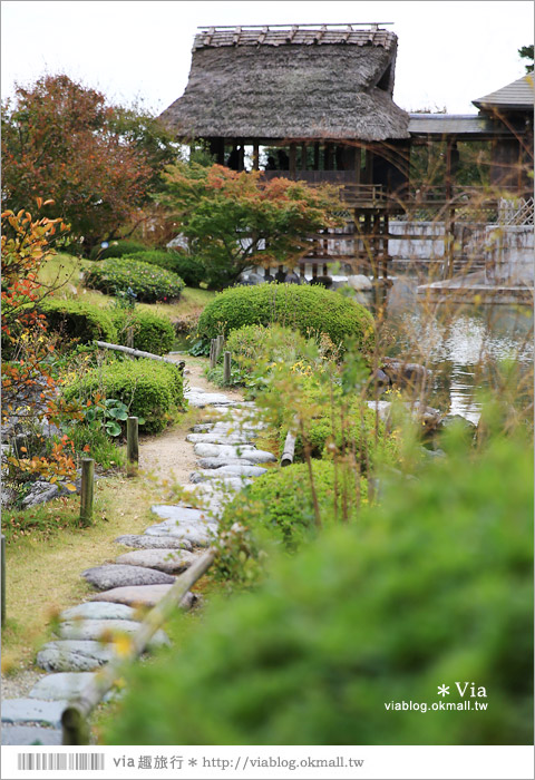 靜岡景點》茶之鄉博物館～來去茶裏王廣告取景的茶園美地尋茶趣！