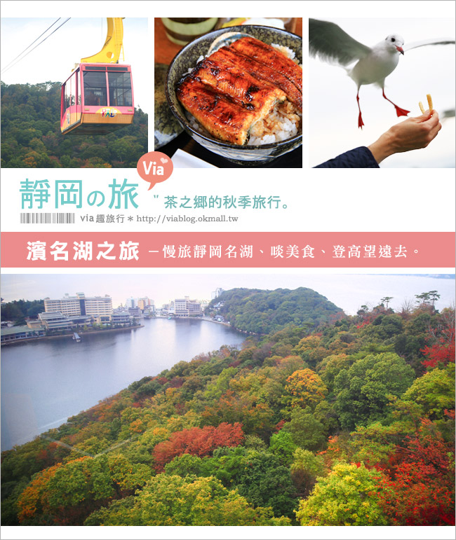 濱松旅遊(下)》濱名湖一日旅～吃鰻魚飯、搭遊船餵海鷗、搭覽車賞美景！