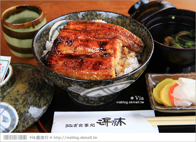 濱松旅遊(下)》濱名湖一日旅～吃鰻魚飯、搭遊船餵海鷗、搭覽車賞美景！