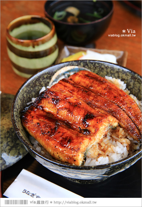 濱松旅遊(下)》濱名湖一日旅～吃鰻魚飯、搭遊船餵海鷗、搭覽車賞美景！