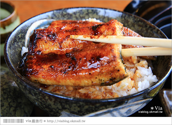 濱松旅遊(下)》濱名湖一日旅～吃鰻魚飯、搭遊船餵海鷗、搭覽車賞美景！