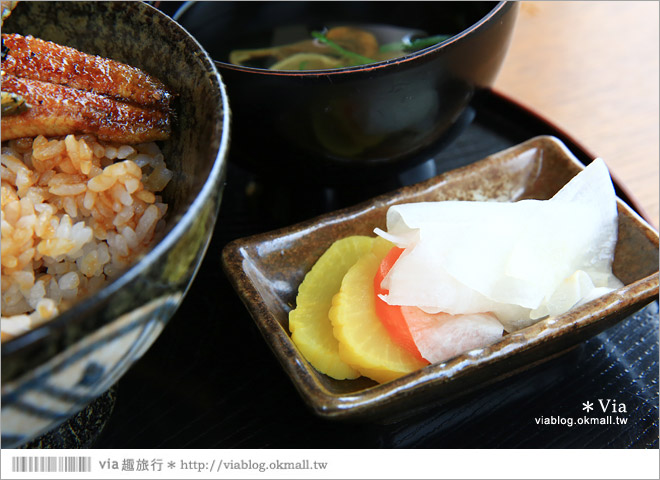 濱松旅遊(下)》濱名湖一日旅～吃鰻魚飯、搭遊船餵海鷗、搭覽車賞美景！