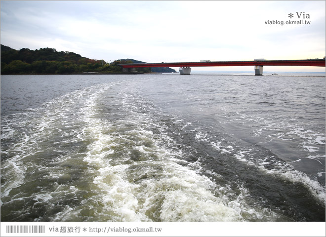 濱松旅遊(下)》濱名湖一日旅～吃鰻魚飯、搭遊船餵海鷗、搭覽車賞美景！