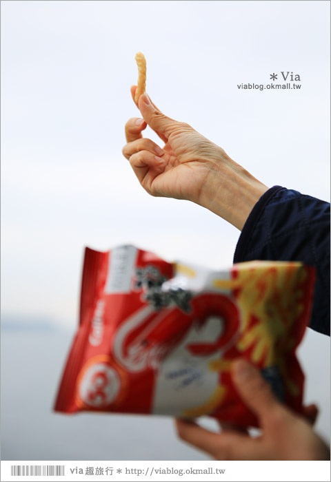 濱松旅遊(下)》濱名湖一日旅～吃鰻魚飯、搭遊船餵海鷗、搭覽車賞美景！