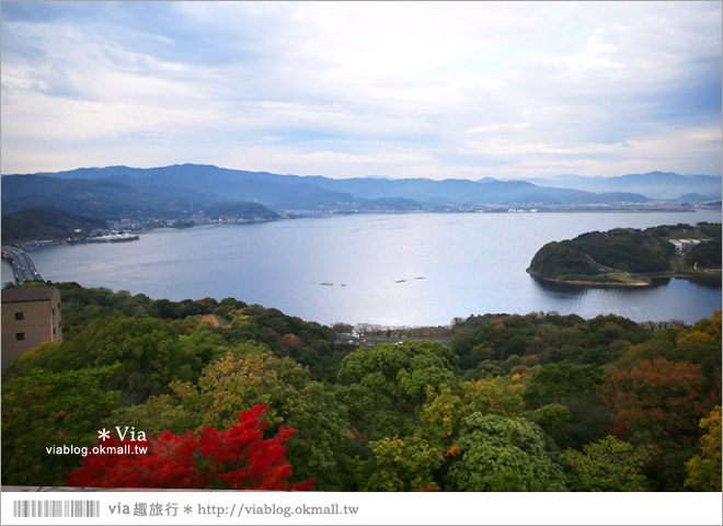 濱松旅遊(下)》濱名湖一日旅～吃鰻魚飯、搭遊船餵海鷗、搭覽車賞美景！