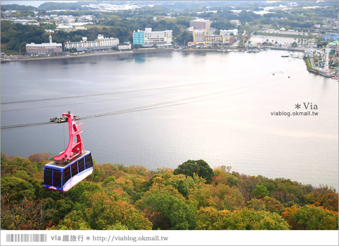 濱松旅遊(下)》濱名湖一日旅～吃鰻魚飯、搭遊船餵海鷗、搭覽車賞美景！