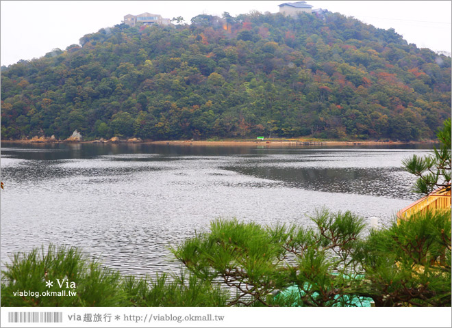 濱松旅遊(下)》濱名湖一日旅～吃鰻魚飯、搭遊船餵海鷗、搭覽車賞美景！