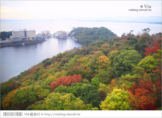 濱松旅遊(下)》濱名湖一日旅～吃鰻魚飯、搭遊船餵海鷗、搭覽車賞美景！