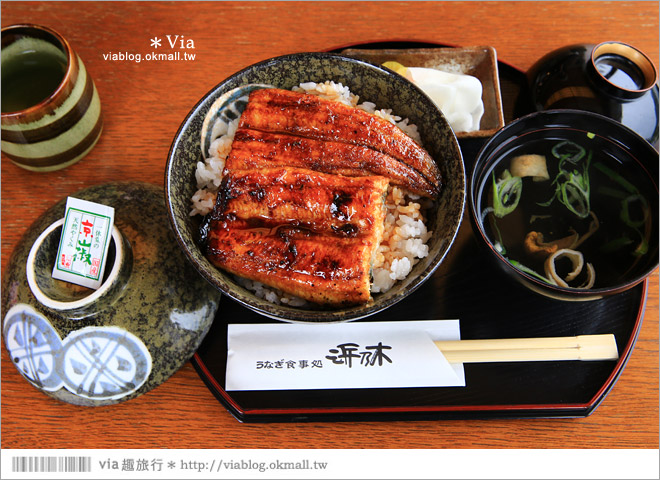 濱松旅遊(下)》濱名湖一日旅～吃鰻魚飯、搭遊船餵海鷗、搭覽車賞美景！