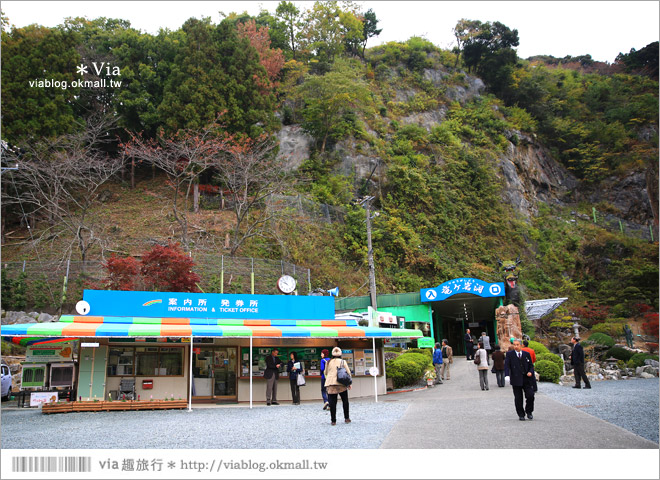 濱松旅遊(上)》靜岡濱松之旅～億萬年打造而成的「龍岩洞」＋國家指定名勝「龍潭寺名園」