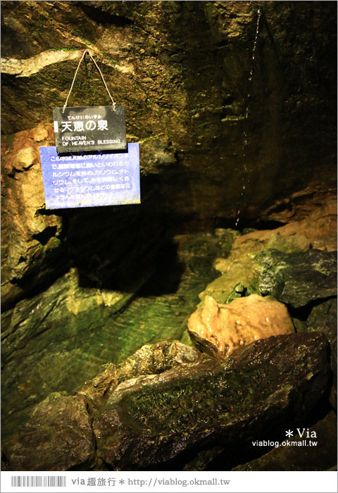 濱松旅遊(上)》靜岡濱松之旅～億萬年打造而成的「龍岩洞」＋國家指定名勝「龍潭寺名園」