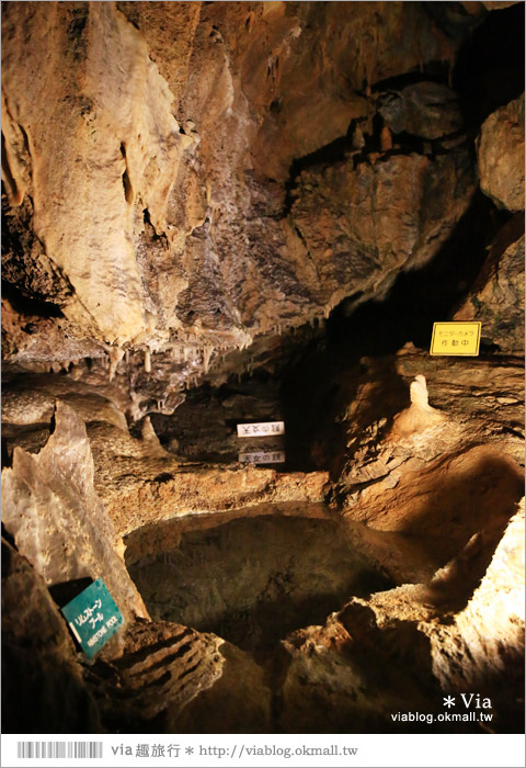 濱松旅遊(上)》靜岡濱松之旅～億萬年打造而成的「龍岩洞」＋國家指定名勝「龍潭寺名園」