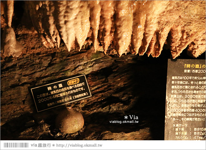 濱松旅遊(上)》靜岡濱松之旅～億萬年打造而成的「龍岩洞」＋國家指定名勝「龍潭寺名園」