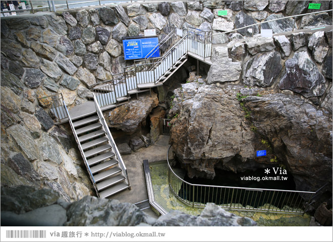 濱松旅遊(上)》靜岡濱松之旅～億萬年打造而成的「龍岩洞」＋國家指定名勝「龍潭寺名園」