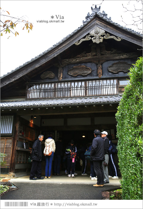 濱松旅遊(上)》靜岡濱松之旅～億萬年打造而成的「龍岩洞」＋國家指定名勝「龍潭寺名園」