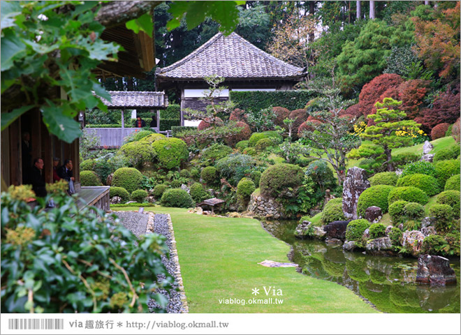 濱松旅遊(上)》靜岡濱松之旅～億萬年打造而成的「龍岩洞」＋國家指定名勝「龍潭寺名園」