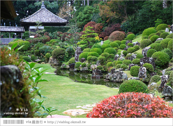 濱松旅遊(上)》靜岡濱松之旅～億萬年打造而成的「龍岩洞」＋國家指定名勝「龍潭寺名園」