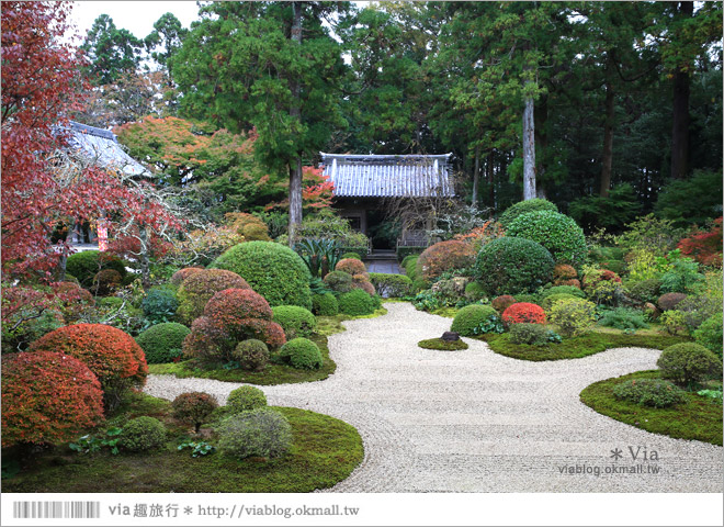 濱松旅遊(上)》靜岡濱松之旅～億萬年打造而成的「龍岩洞」＋國家指定名勝「龍潭寺名園」