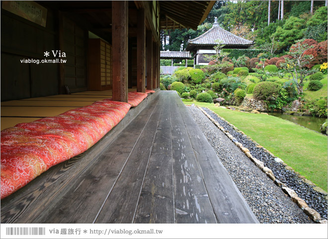 濱松旅遊(上)》靜岡濱松之旅～億萬年打造而成的「龍岩洞」＋國家指定名勝「龍潭寺名園」