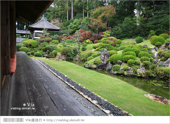 濱松旅遊(上)》靜岡濱松之旅～億萬年打造而成的「龍岩洞」＋國家指定名勝「龍潭寺名園」