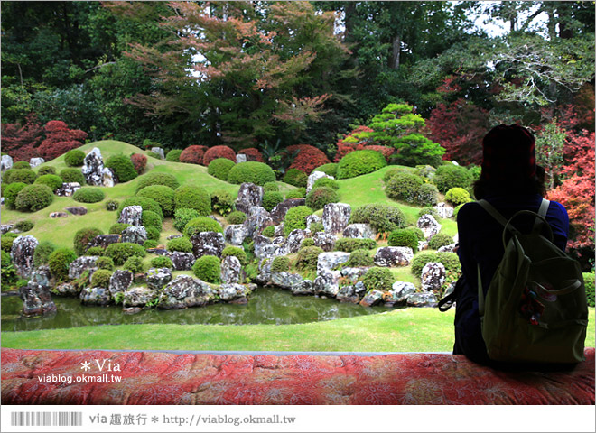 濱松旅遊(上)》靜岡濱松之旅～億萬年打造而成的「龍岩洞」＋國家指定名勝「龍潭寺名園」