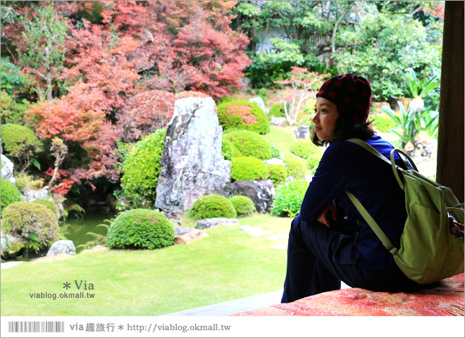 濱松旅遊(上)》靜岡濱松之旅～億萬年打造而成的「龍岩洞」＋國家指定名勝「龍潭寺名園」