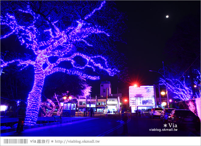 台中燈會》大里燈會～大里文創聚落燈區！浪漫彩燈門廊賞燈趣