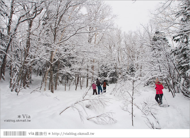 北海道冬季玩法》美瑛｜白金溫泉鄉～來去雪鞋體驗、漫步在白色森林中耍浪漫