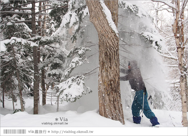 北海道冬季玩法》美瑛｜白金溫泉鄉～來去雪鞋體驗、漫步在白色森林中耍浪漫