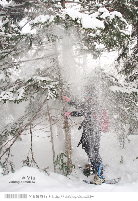 北海道冬季玩法》美瑛｜白金溫泉鄉～來去雪鞋體驗、漫步在白色森林中耍浪漫