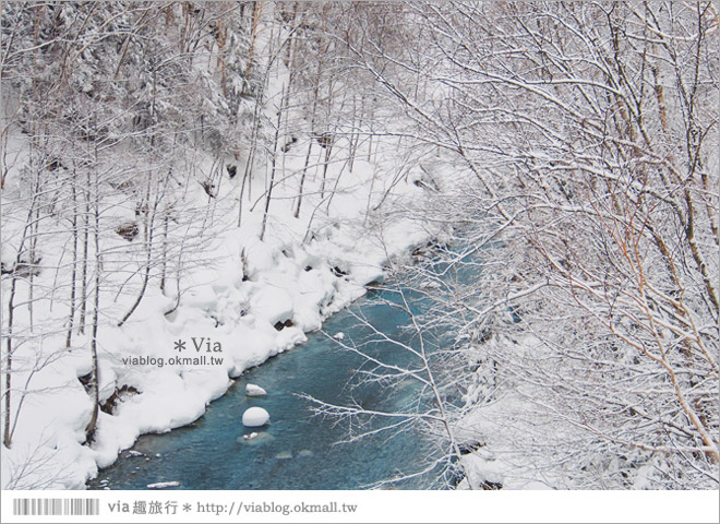 北海道冬季玩法》美瑛｜白金溫泉鄉～來去雪鞋體驗、漫步在白色森林中耍浪漫