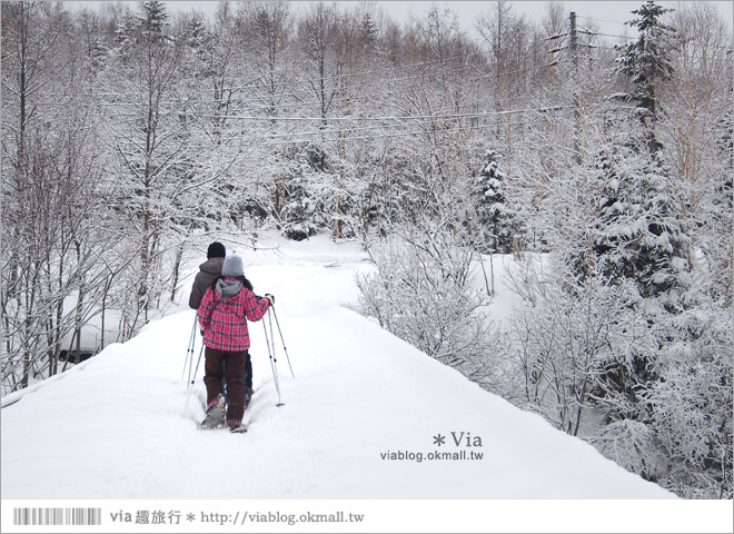 北海道冬季玩法》美瑛｜白金溫泉鄉～來去雪鞋體驗、漫步在白色森林中耍浪漫