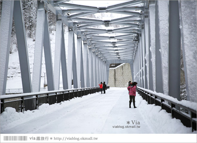 北海道冬季玩法》美瑛｜白金溫泉鄉～來去雪鞋體驗、漫步在白色森林中耍浪漫